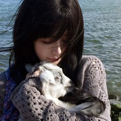 做一只鸟真不容易