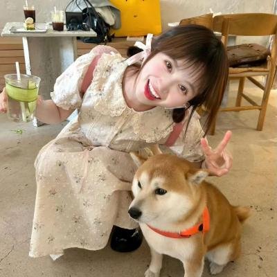 星梦泪痕